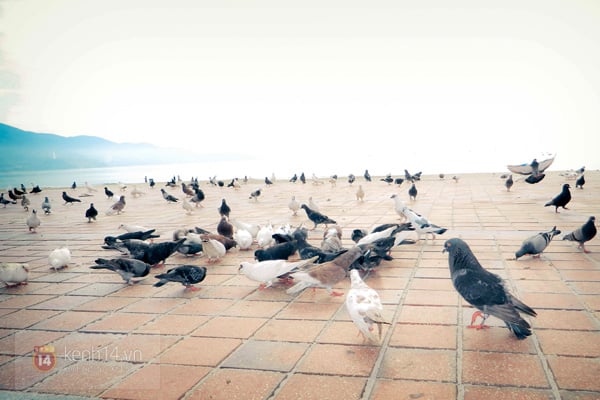 Công viên Biển Đông Công viên Biển Đông