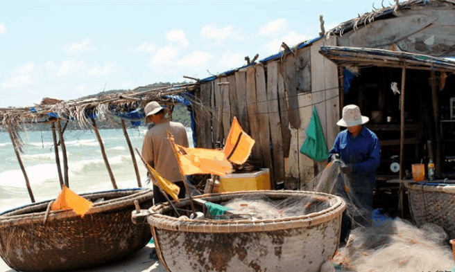 Khám phá cảnh đánh bắt hải sản tại làng chài Hàm Ninh Khám phá cảnh đánh bắt hải sản tại làng chài Hàm Ninh