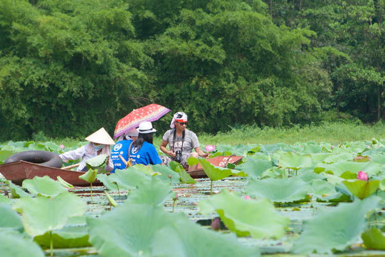 Du lịch sinh thái Hà Nội: Hành trình về những miền xanh Du lịch sinh thái Hà Nội: Hành trình về những miền xanh
