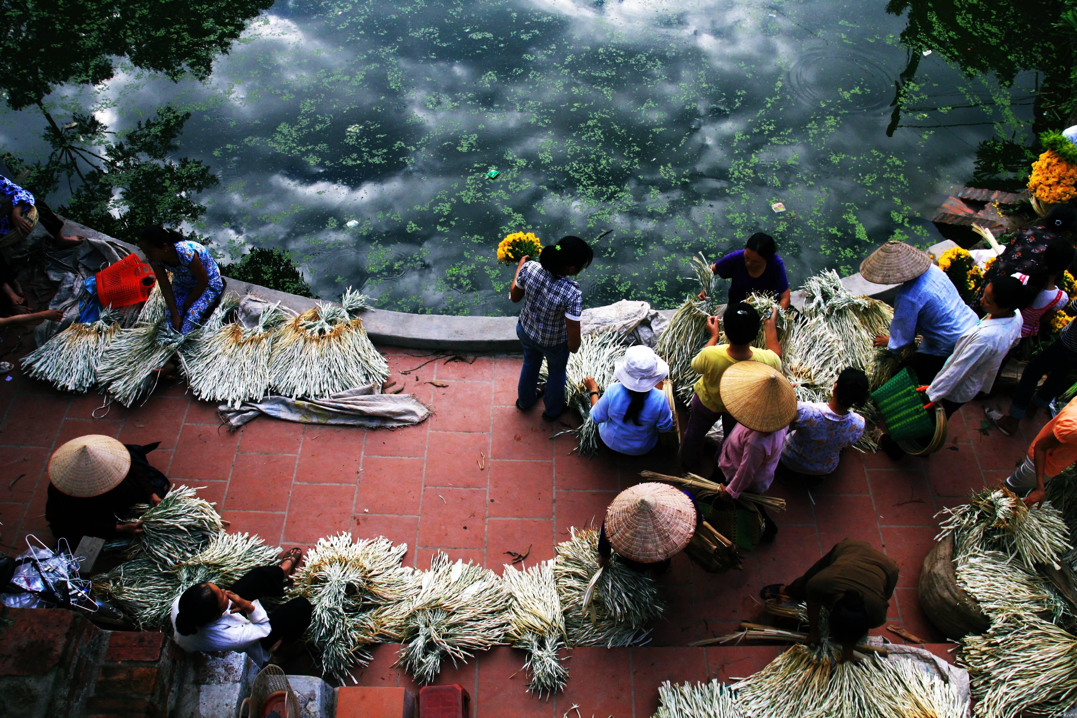 Du lịch sinh thái Hà Nội: Hành trình về những miền xanh Du lịch sinh thái Hà Nội: Hành trình về những miền xanh