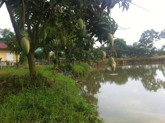 Du lịch sinh thái Hà Nội: Hành trình về những miền xanh Du lịch sinh thái Hà Nội: Hành trình về những miền xanh