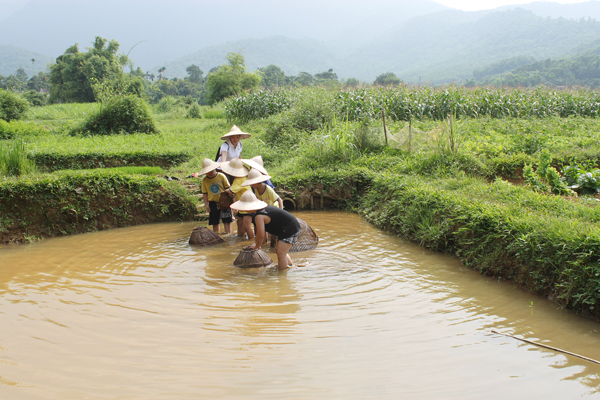 Du lịch sinh thái Hà Nội: Hành trình về những miền xanh Du lịch sinh thái Hà Nội: Hành trình về những miền xanh