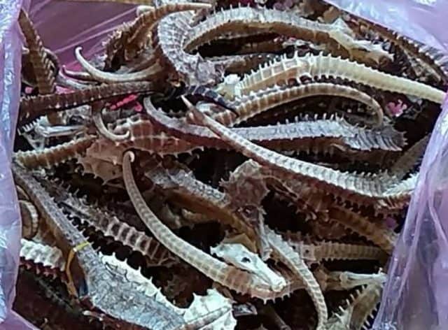 Cá ngựa khô - đặc sản Nha Trang (Ảnh: ST)