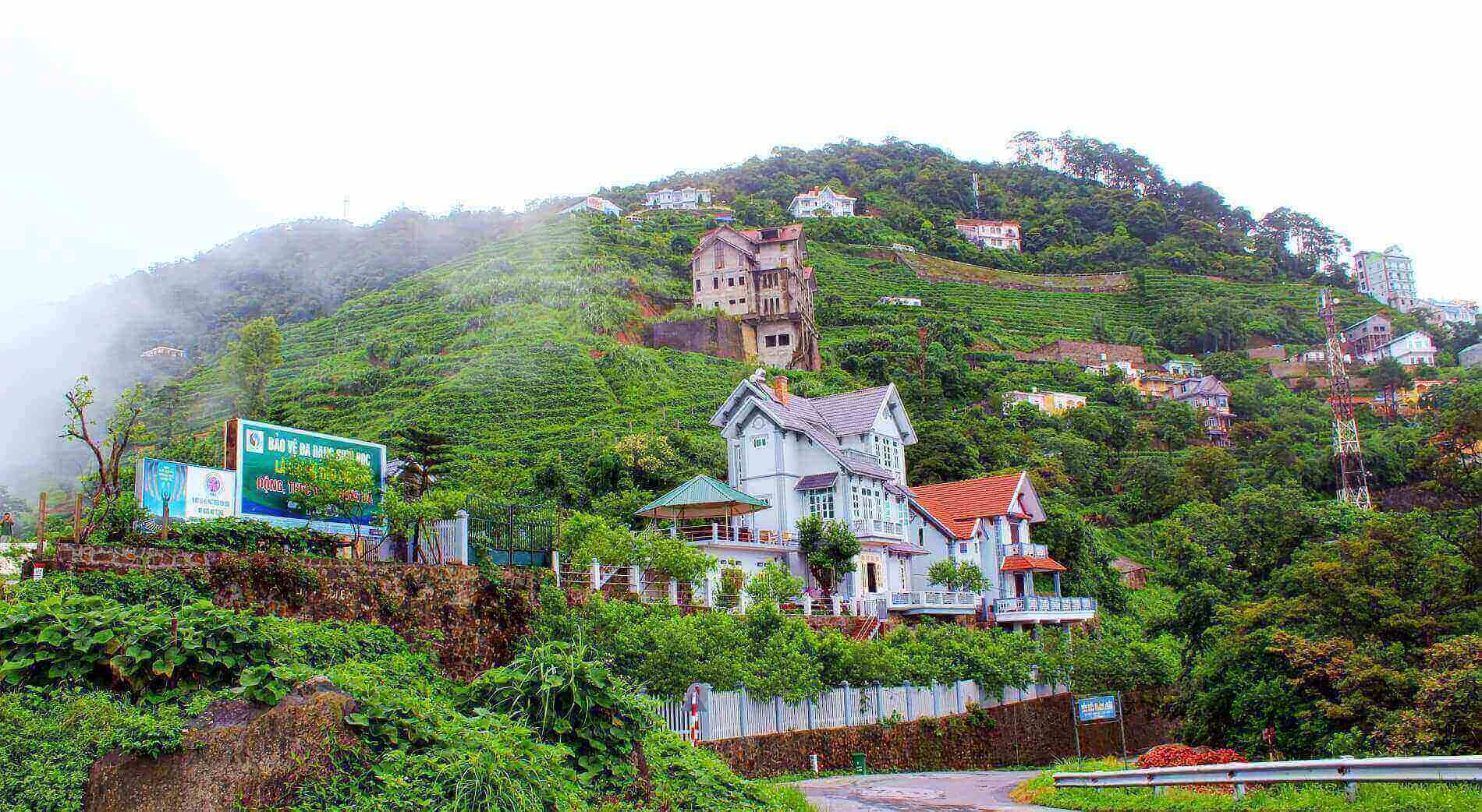 Tam Đảo