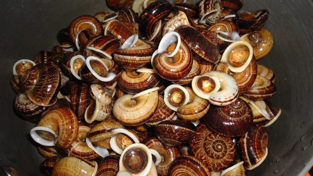 đặc sản Ninh Bình 3