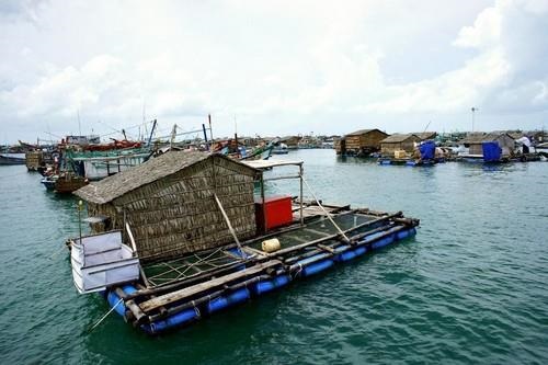 Những chiếc thuyền cá trên biển Nam Du