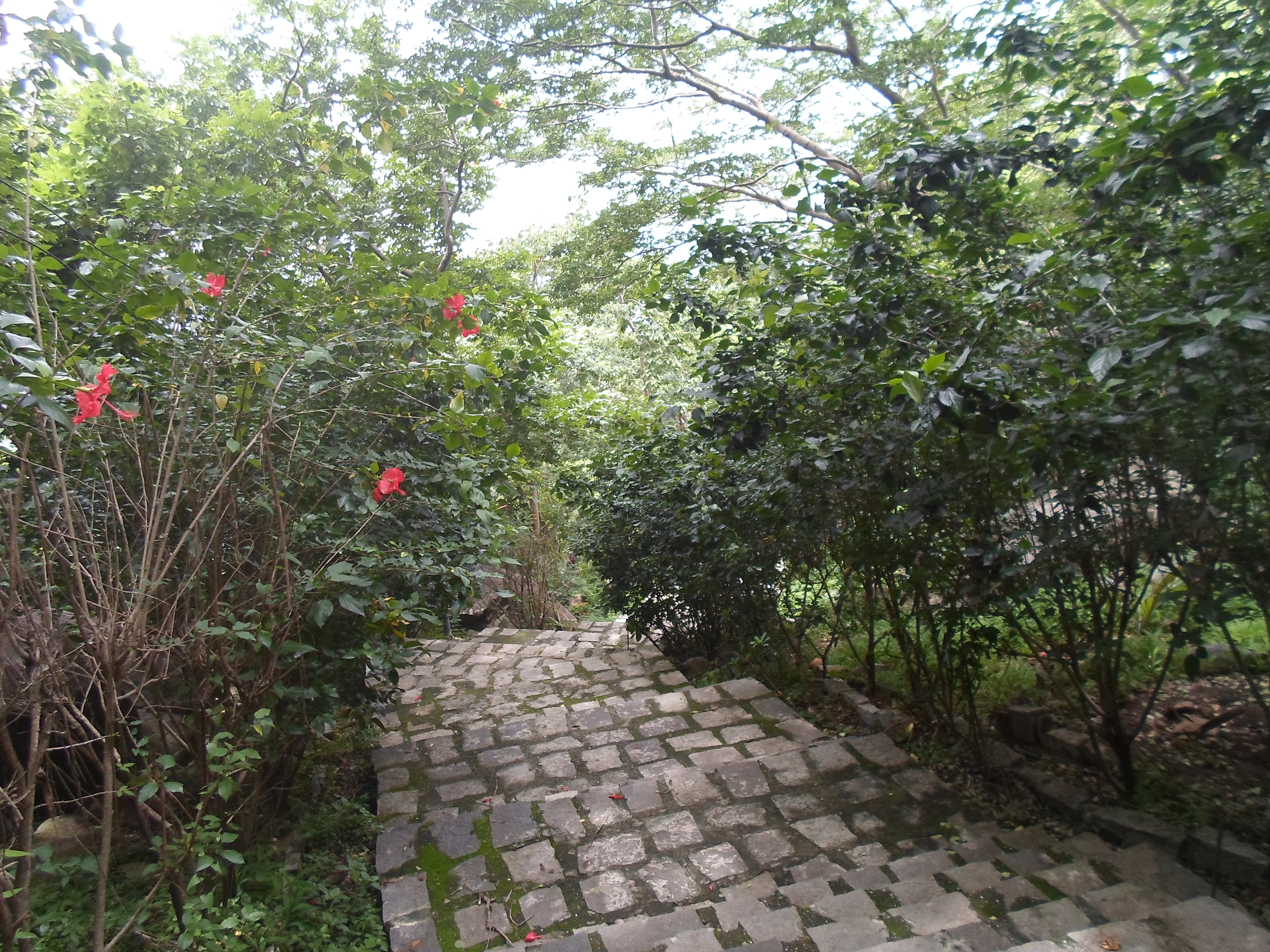 Những cảnh đẹp tại khu du lịch núi Bà Đen - lễ hội núi Bà Đen