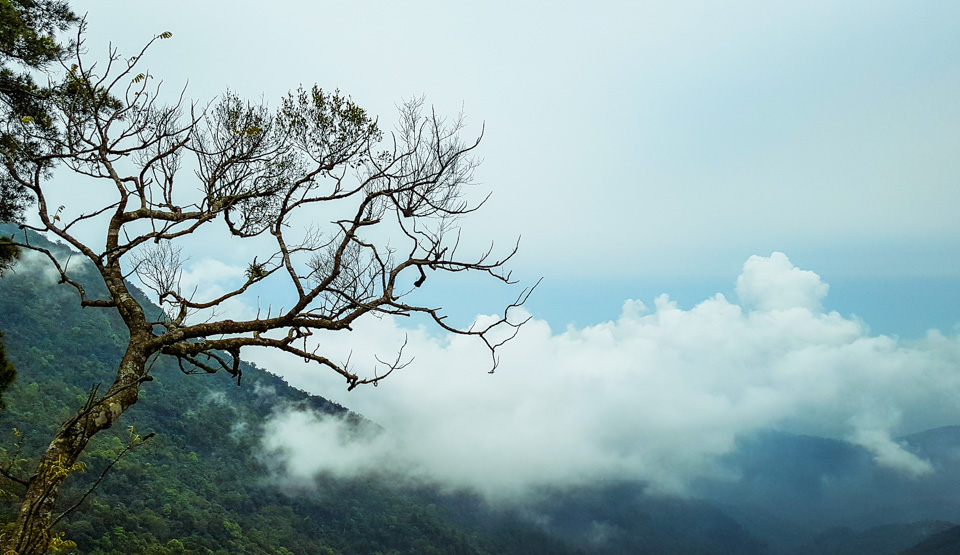 du lịch Tam Đảo mùa đông