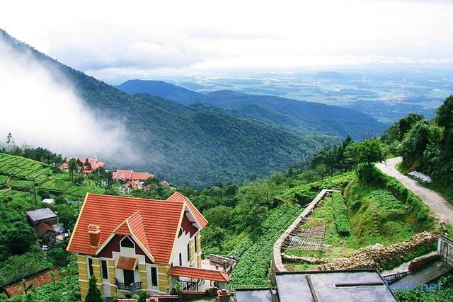 Du lịch Tam Đảo 2 ngày 1 đêm 