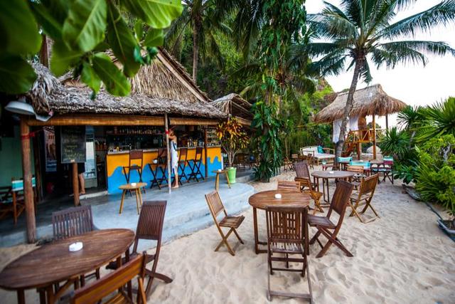 Khách sạn Quy Nhơn giá rẻ - Big Tree Backpackers and Bistro