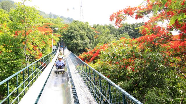 máng trượt núi Bà Đen
