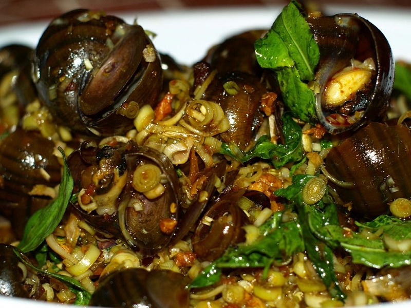 Ốc núi Tây Ninh rang me