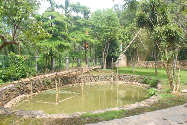 Ba Vì Homestead - khách sạn Ba Vì