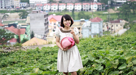 vườn su su Tam Đảo