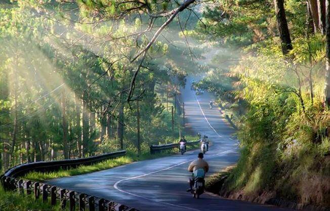 Khung cảnh thiên nhiên tuyệt đẹp - du lịch Đà Lạt 