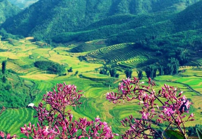 Du lịch miền bắc Sapa.