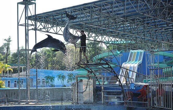 khu biểu diễn cá heo thiên đường bảo sơn