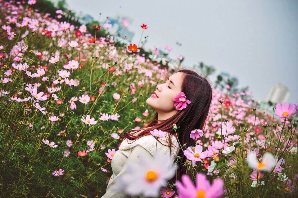 chụp ảnh ở vườn hoa Nhật Tân