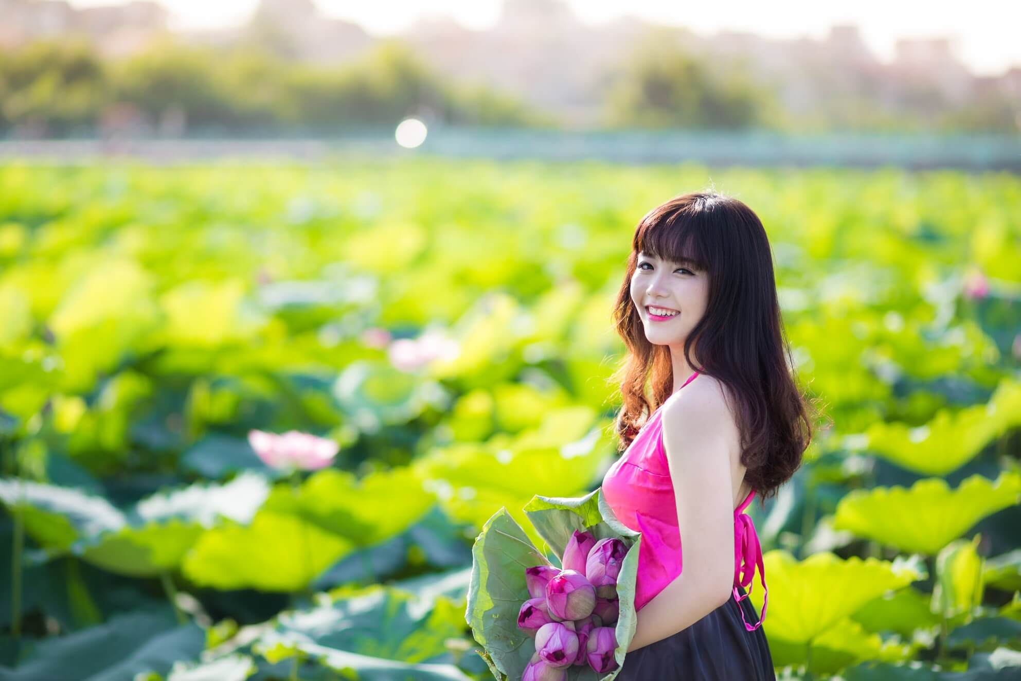 chụp ảnh sen ở Hồ Tây