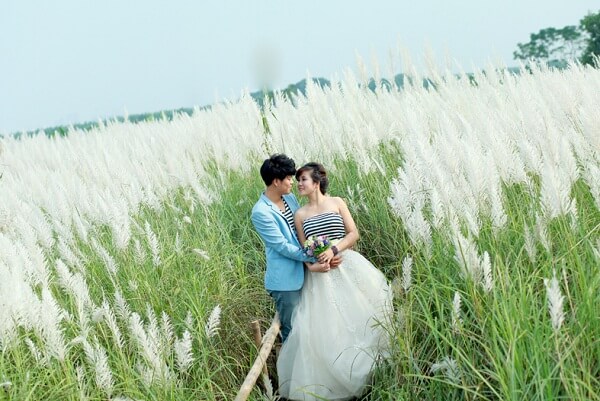 Nhiều cặp đôi đến chụp ảnh cưới tại bão cỏ lau bãi đá sông Hồng