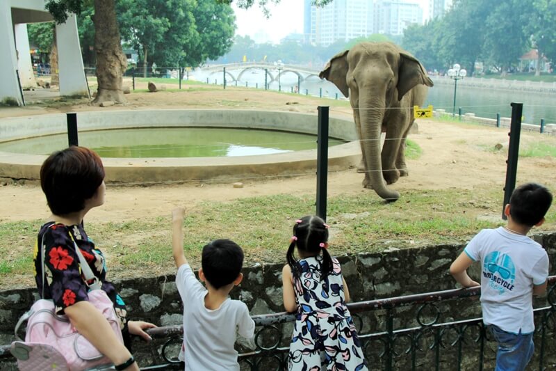 công viên thủ lệ - vườn thú