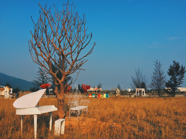Dã ngoại Thuận Phước Field Đà Nẵng 