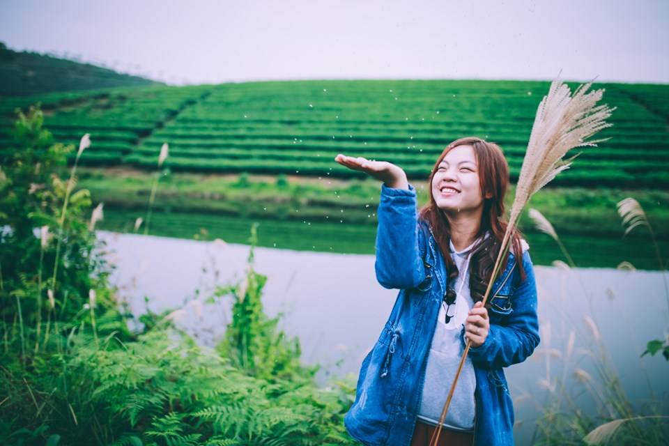 địa điểm du lịch nghệ an: đồi chè thanh chương-02 địa điểm du lịch nghệ an: đồi chè thanh chương-02