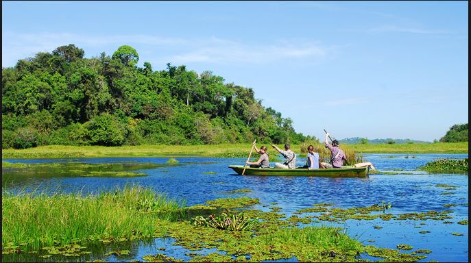 Kinh nghiệm du lịch rừng nam cát tiên trên sông nước Kinh nghiệm du lịch rừng nam cát tiên trên sông nước