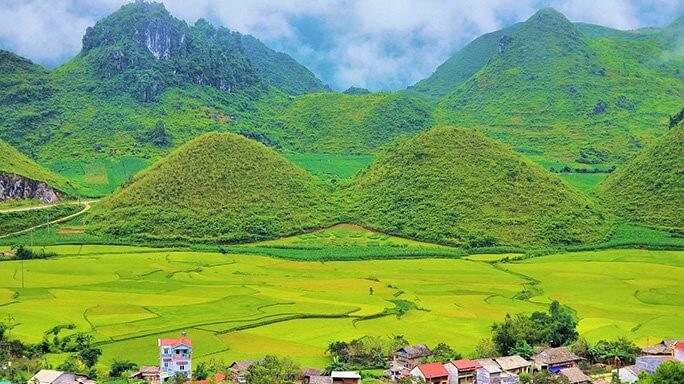 du lịch hà giang ngắm hoa tam giác mạch