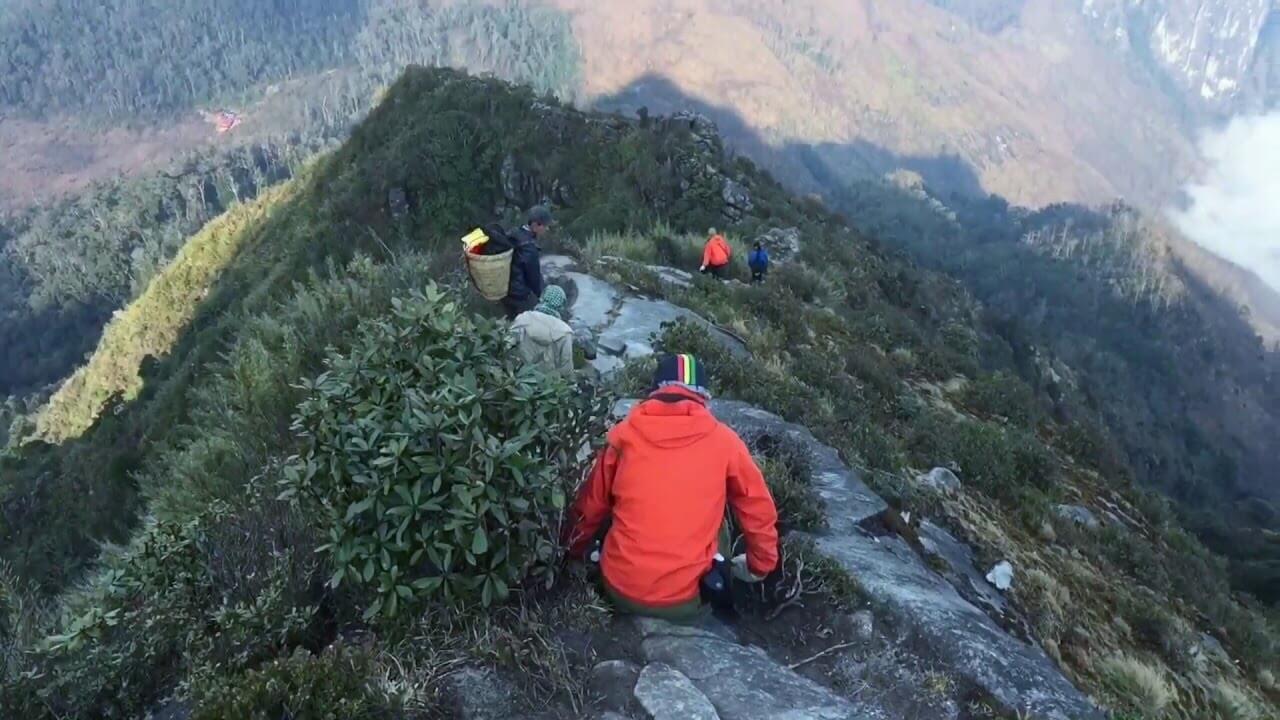 Bạch Mộc Lương Tử