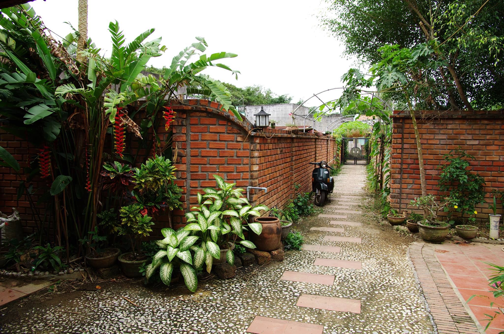 Herson house- HỘI AN