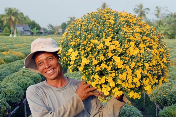 Những chậu hoa cảnh được trồng và cắt tỉa cẩn thận (Ảnh: ST)