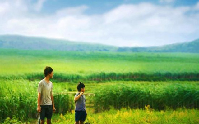 Cánh đồng Phú Yên đẹp mộng mơ qua ống kính của đạo diễn Victor Vũ (Ảnh: sưu tầm)