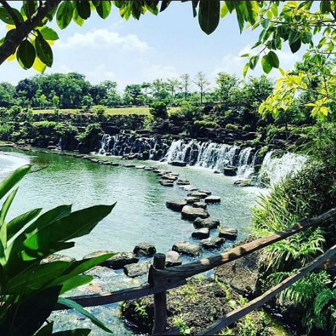 Vẻ đẹp hoang sơ của thiên nhiên tại khu du lịch Suối Mơ