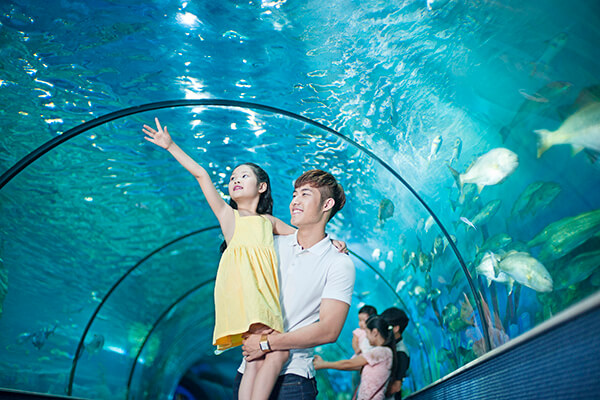 Thủy cung Times City