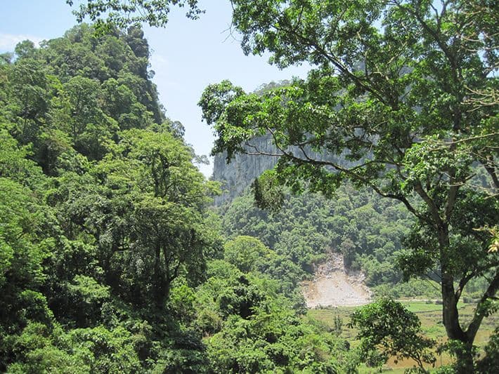 Thiên nhiên trên đảo Ngọc tại Vườn quốc gia Bến En Thiên nhiên trên đảo Ngọc tại Vườn quốc gia Bến En