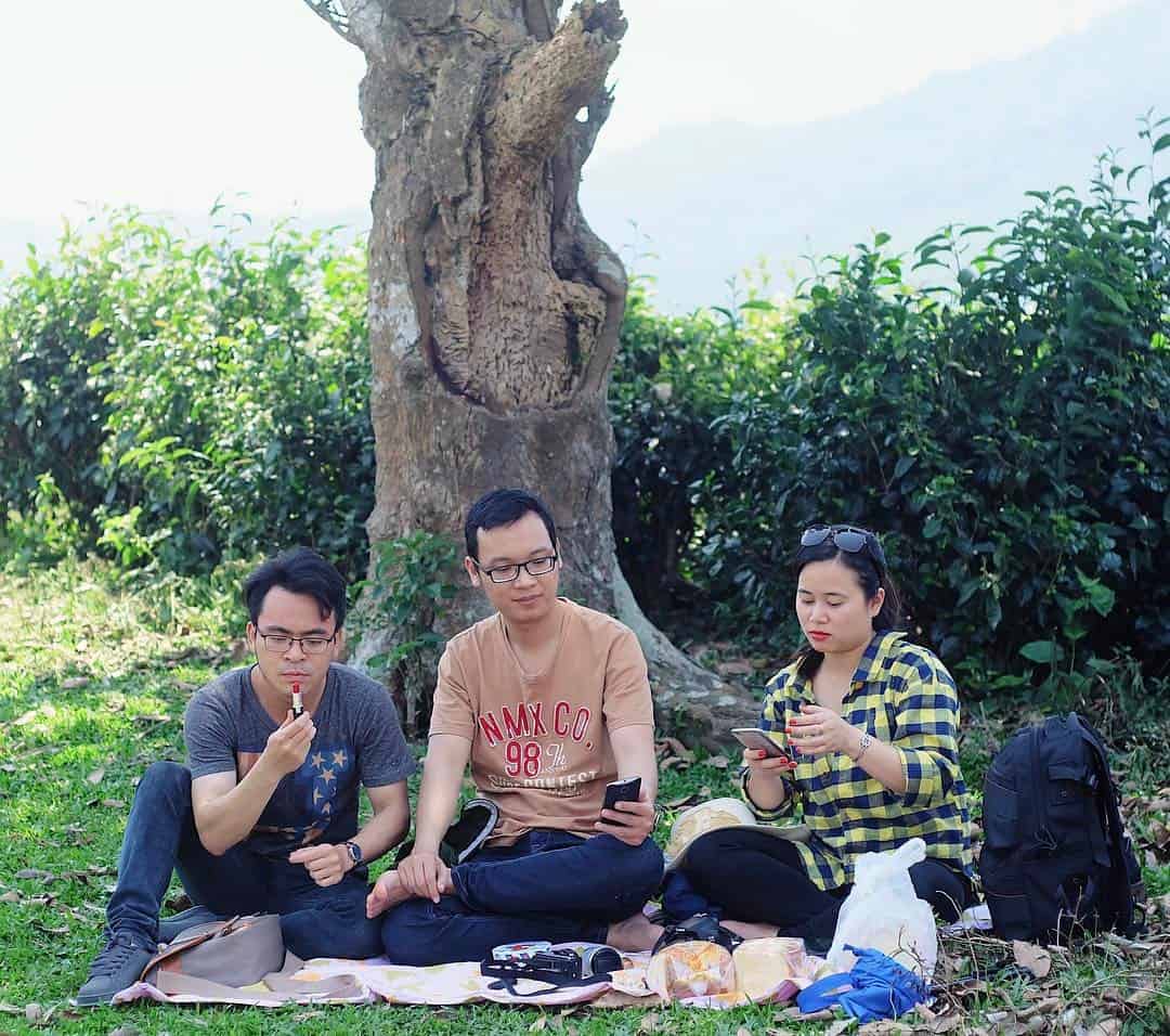 Đi picnic ở đồi chè (Ảnh: ST)