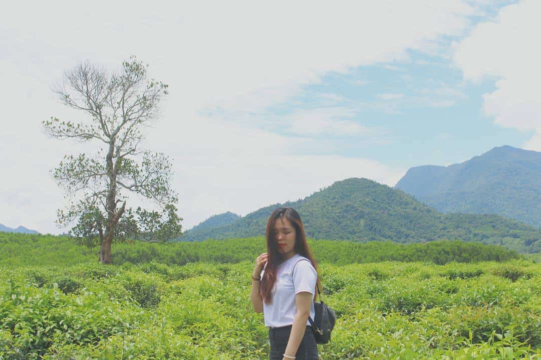 Đồi chè Đông Giang xanh ngút ngàn hút mắt (Ảnh: ST)