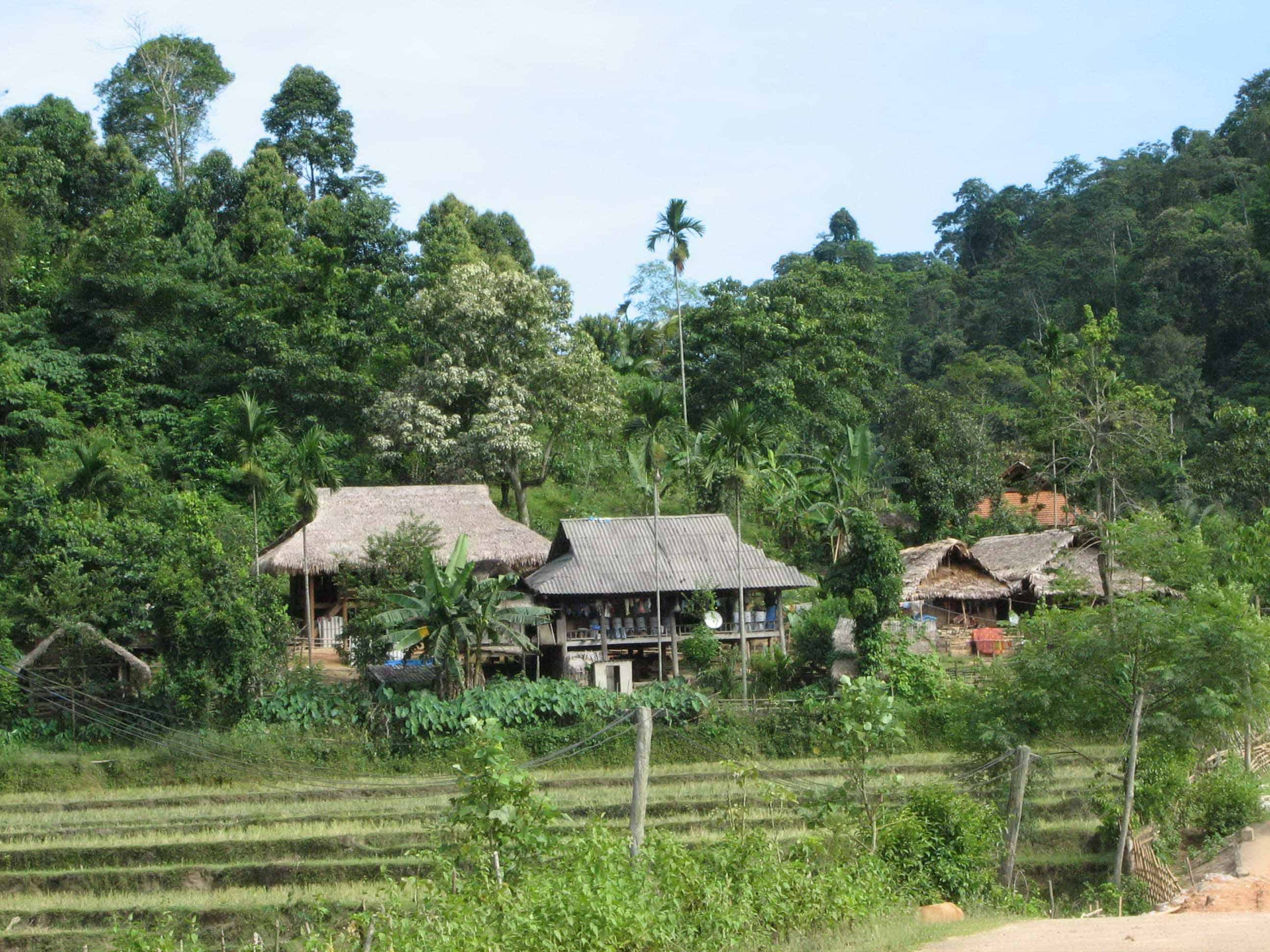 Bản làng người Thái tại Pù Mát Bản làng người Thái tại Pù Mát