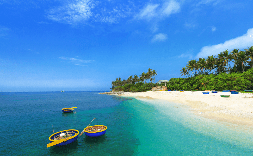 Kinh nghiệm du lịch Quảng Ngãi từ A đến Z