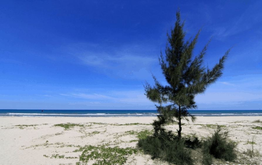 du lịch Bãi biển Mỹ Khê Quảng Ngãi
