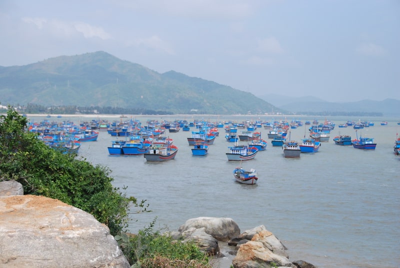 Khám phá Phú Yên | 22 địa điểm du lịch Phú Yên khiến bạn đứng ngồi không yên 3