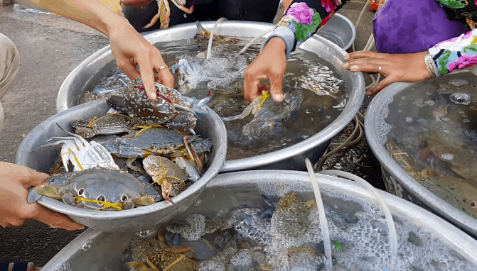 Những vựa hải sản tươi ngon
