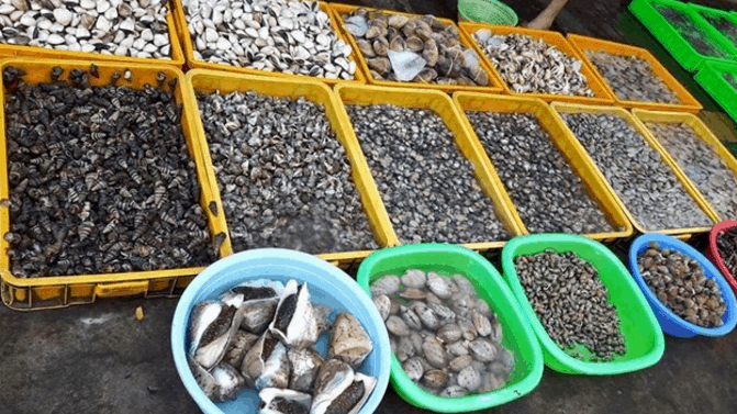 Chợ hải sản Cô Giang