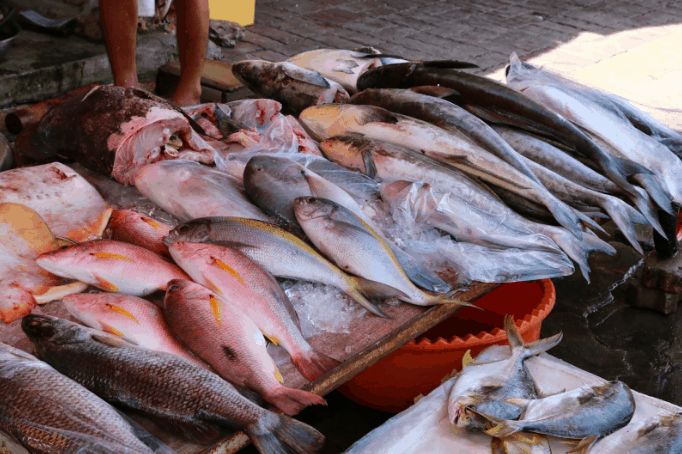 Sạp cá tươi ngon ở chợ Xóm Lưới