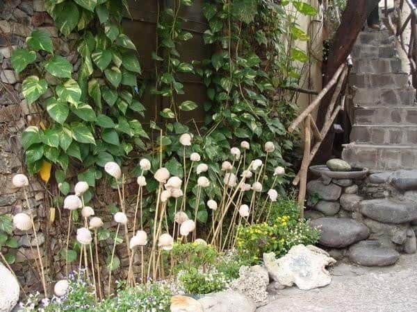 Cafe Hòn kiến - Những quán cafe đẹp ở Nha Trang