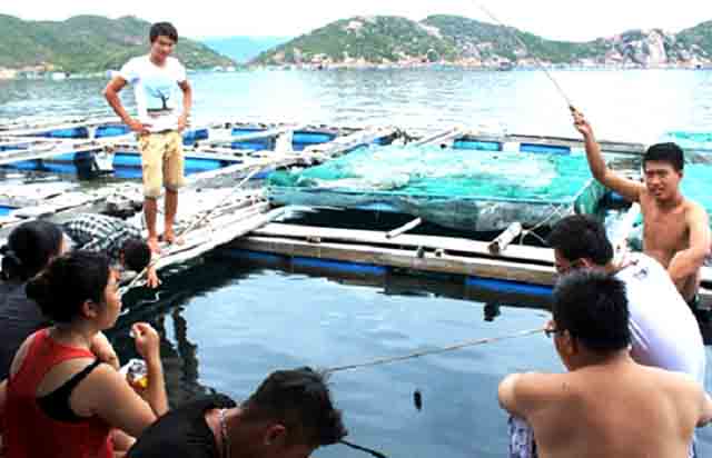 Câu cá trên bè ở làng bè Long Sơn (Ảnh: ST) Câu cá trên bè ở làng bè Long Sơn (Ảnh: ST)