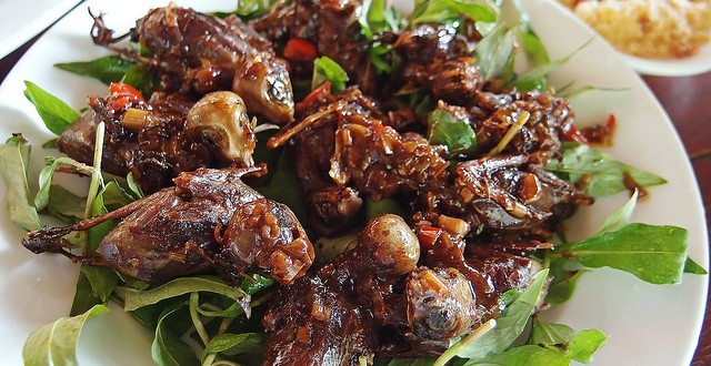 Đặc sản quảng ngãi Chim mía
