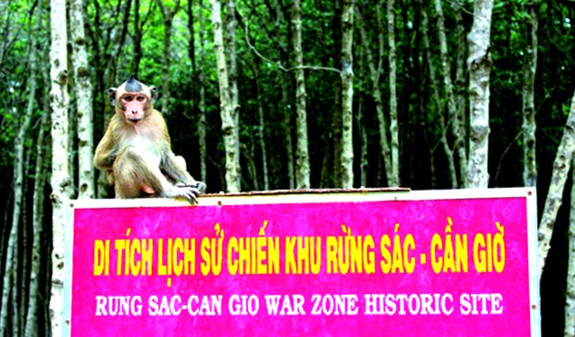 Cổng vào khu du lịch đảo Khỉ Cần Giờ (Ảnh: ST)