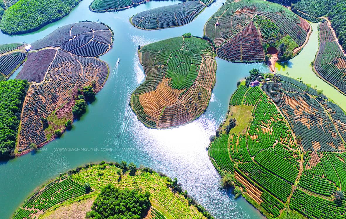 Ngắm đồi chè Thanh Chương từ trên cao xuống Ngắm đồi chè Thanh Chương từ trên cao xuống